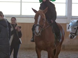 IMG-9842-019-redigeret